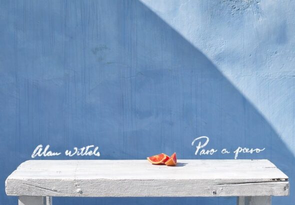 Paso a Paso - Alan Wittels (Covert Art)